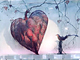 ����O�z